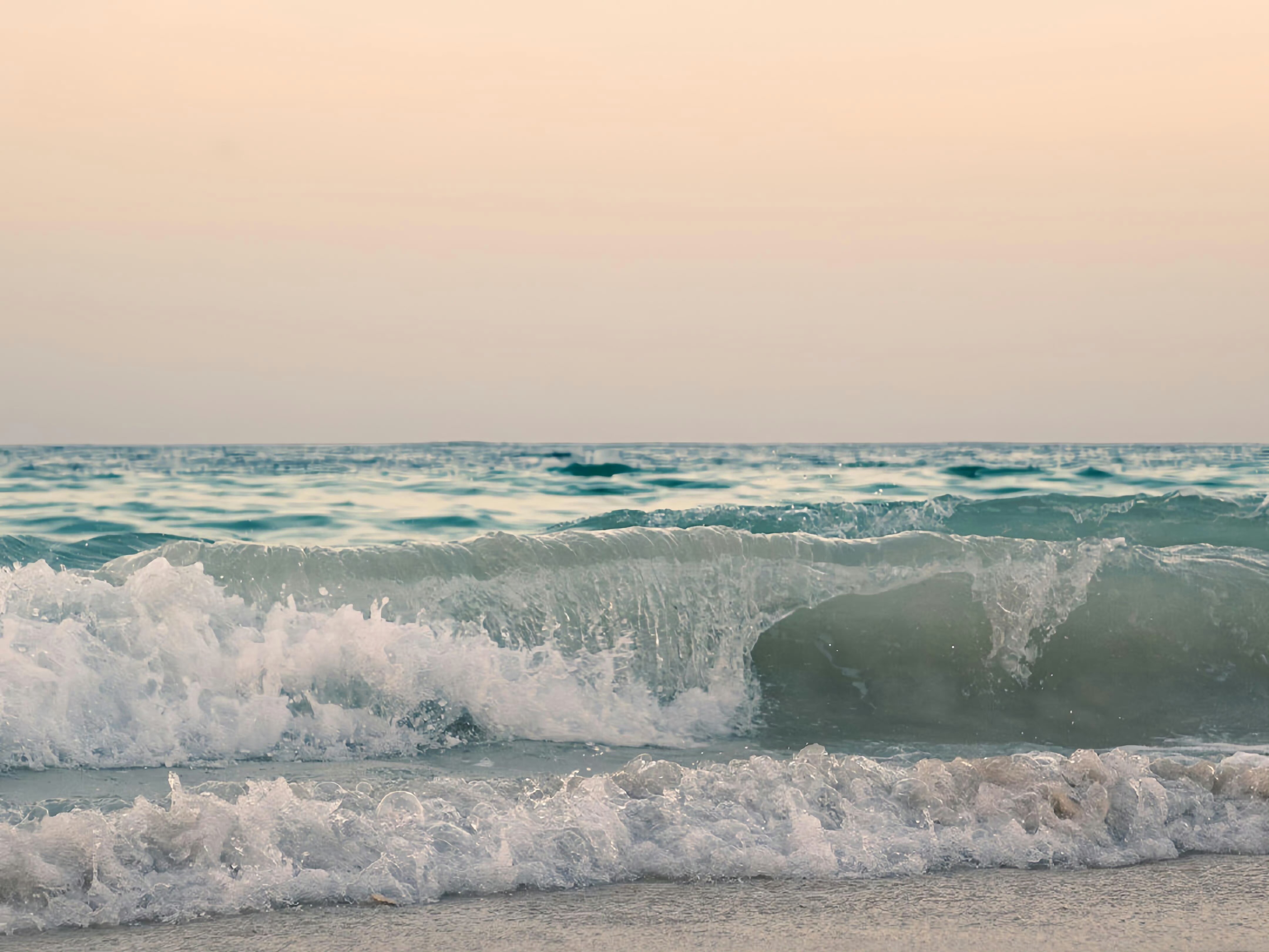 测试测试测试测试